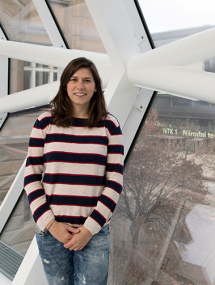  ◳ ilic (png) → (šířka 215px)